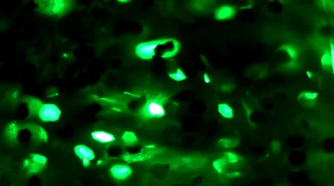 Green Text Background Video stock 37185366