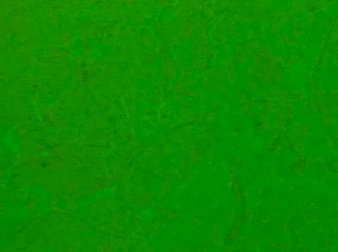 Green texture background backdrop for graphic design Stock Photos