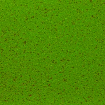 Green texture background backdrop for graphic design Stock Photos