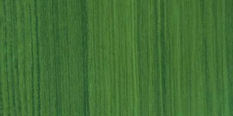 Green texture background backdrop for graphic design Stock Photos