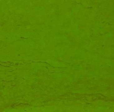 Green texture background backdrop for graphic design Stock Photos