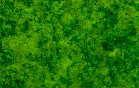 Green texture background backdrop for graphic design Stock Photos
