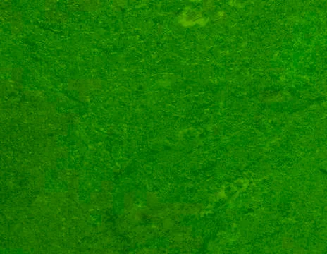 Green texture background backdrop for graphic design Stock Photos