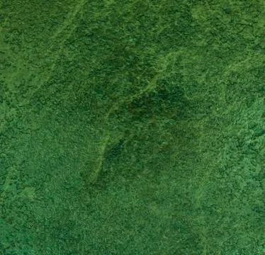 Green texture background backdrop for graphic design Stock Photos