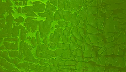 Green texture background backdrop for graphic design Stock Photos