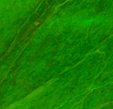 Green texture background backdrop for graphic design Stock Photos