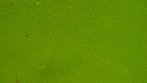Green Texture Background Stock Footage 169434701