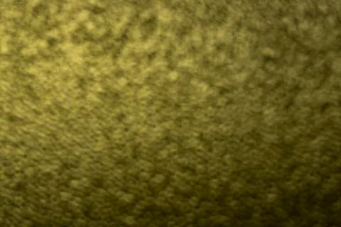 Green texture background. Green light background Stock Photos