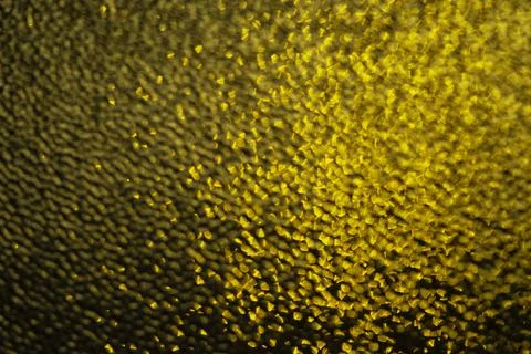Green texture background. Green light background Stock Photos