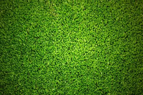 Green texture background Stock Photos