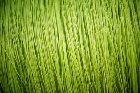 Green texture background Stock Photos