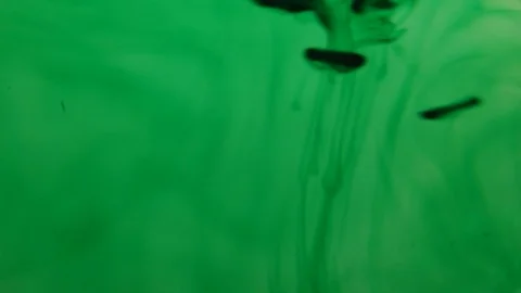 Green Texture Stock Footage 107798979