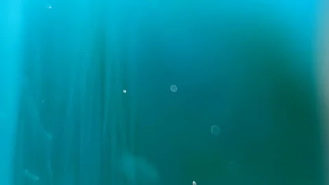 Green Texture Stock Footage 107798993