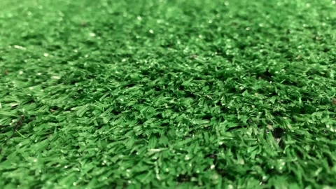 Green texture Stock Footage 163678845