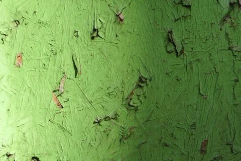 Green texture paint on a panel Foto stock