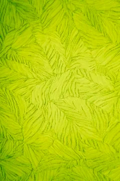 Green texture Stock Photos