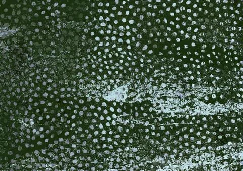 Green textured background and mint dotted pattern effect Stock Illustration