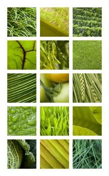 Green textures Stock Photos