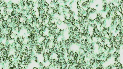 Green, texturized, dynamic, abstract, curve shapes effect Stock Footage 147122762