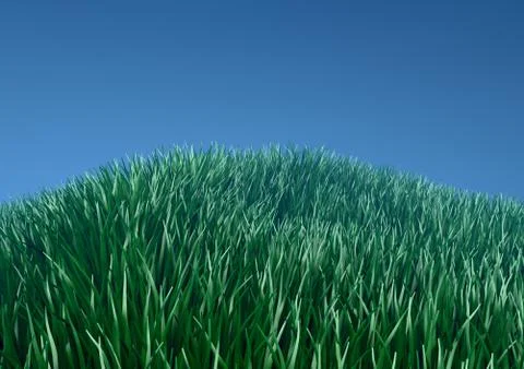 Green thick grass on a blue background. Stock Illustration
