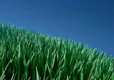 Green thick grass on a blue background. 3D rendering Stock Illustration