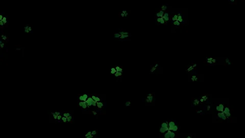 Green three-leaf clovers falling on black, St Patrick's Day overlay, 4K loop Видео 347852622