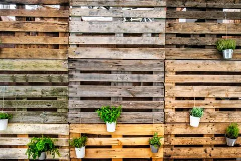 Green thumb background copy space pallets wooden texture Stock Photos