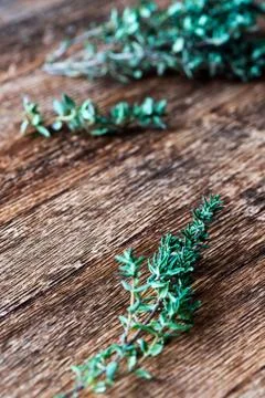 Green thyme sprig Stock Photos