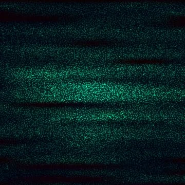 Green tiny bright dotted wallpaper background. Vector illustration Stock Illustration