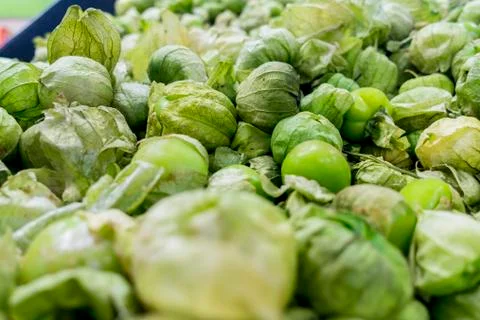 Green tomatillo background Stock Photos