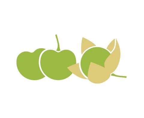 Green tomatillo fruits. Flat vector illustration isolated on white. Stock Illustration