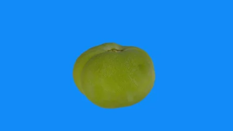Green tomato 3D rendering against blue background Stock-Footage 303594793