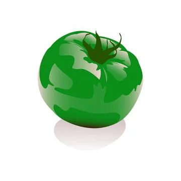 Green tomato 3D vector illustration Stock Illustration