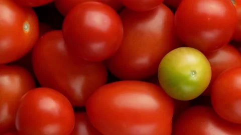 Green tomato between ripe tomatoes, rotation. Stock Footage 138581361