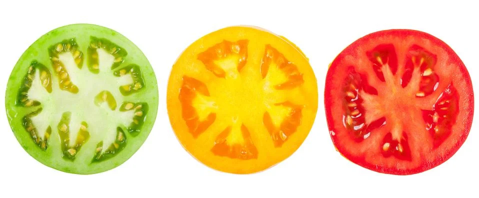 Green tomato slice Stock Photos