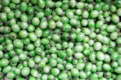 Green tomatoes background Stock Photos