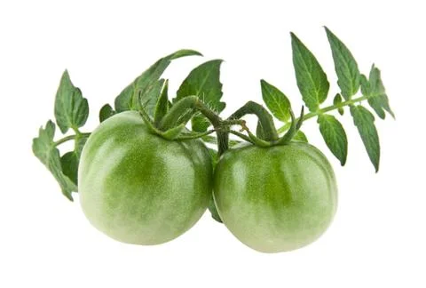 Green tomatoes Stock Photos
