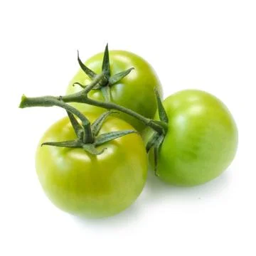 Green Tomatoes Stock Photos