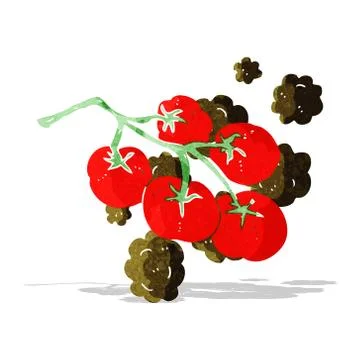 Green tomatoes on vine illustration Stock Illustration