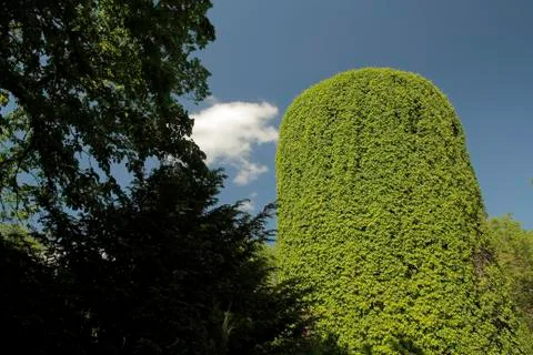 Green Tower Foto stock