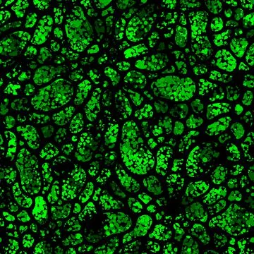 Green toxic bio cells. Vector illustration seamless pattern background Stock Illustration