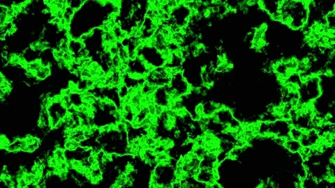 Green Toxic Liquid Background Видео 209131170