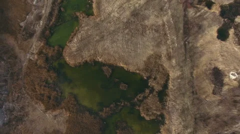 Green Toxic Swamp Stock Footage 64066885