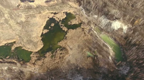 Green Toxic Swamp Stock Footage 64066944