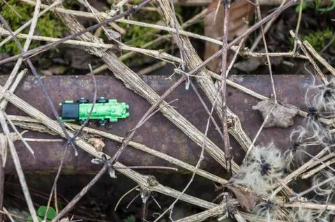 Green toy train Stock Photos