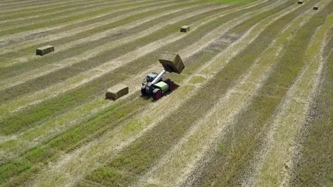 Green tractor with Hay baler producing hay bales in a field - Aerial footage Stock Footage 80896374