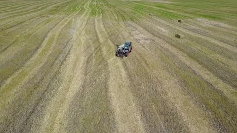 Green tractor with Hay baler producing hay bales in a field - Aerial footage Stock Footage 80897074