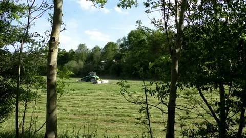 Green tractor mowing a meadow, trees in foreground and background, green grass Stock Footage 76794704