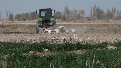 A Green tractor plowing a field Stock Footage 106222454