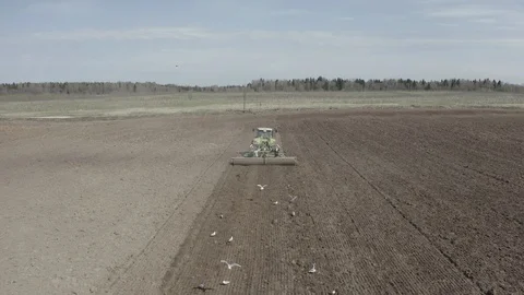 Green tractor plows a field Stock Footage 128650419